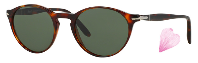 Persol James Bond Spring Guide